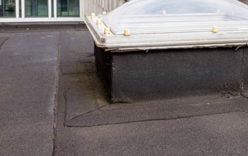 disadvantages of South Tottenham flat roofs