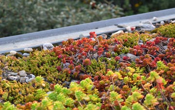 the cost of South Tottenham green roof installation