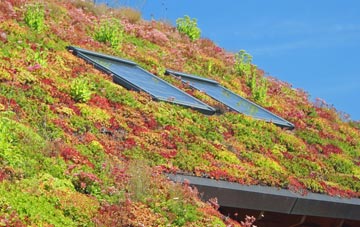 South Tottenham living roof systems