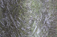 South Tottenham fibreglass roof work